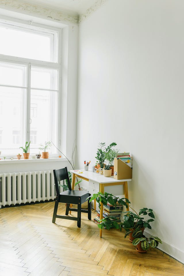 casement-windows-and-indoor-plants-Greensburg-Pennsylvania